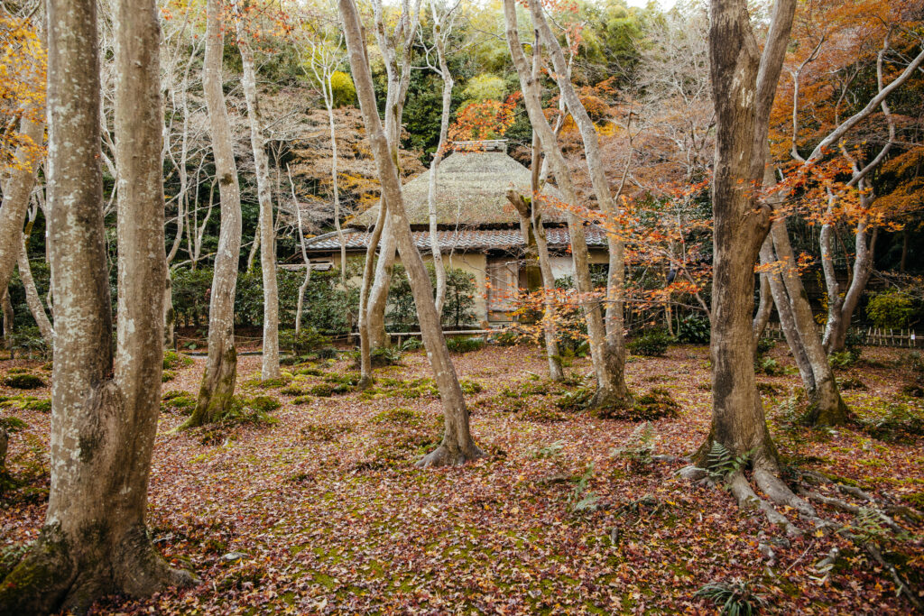 Kyoto | Arashayama | Gioji Okochi Sanso Garden